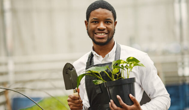 AGILE-img-04 AGILE-img-04