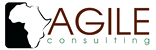 Agile Consulting
